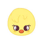 :skzoobbokari: