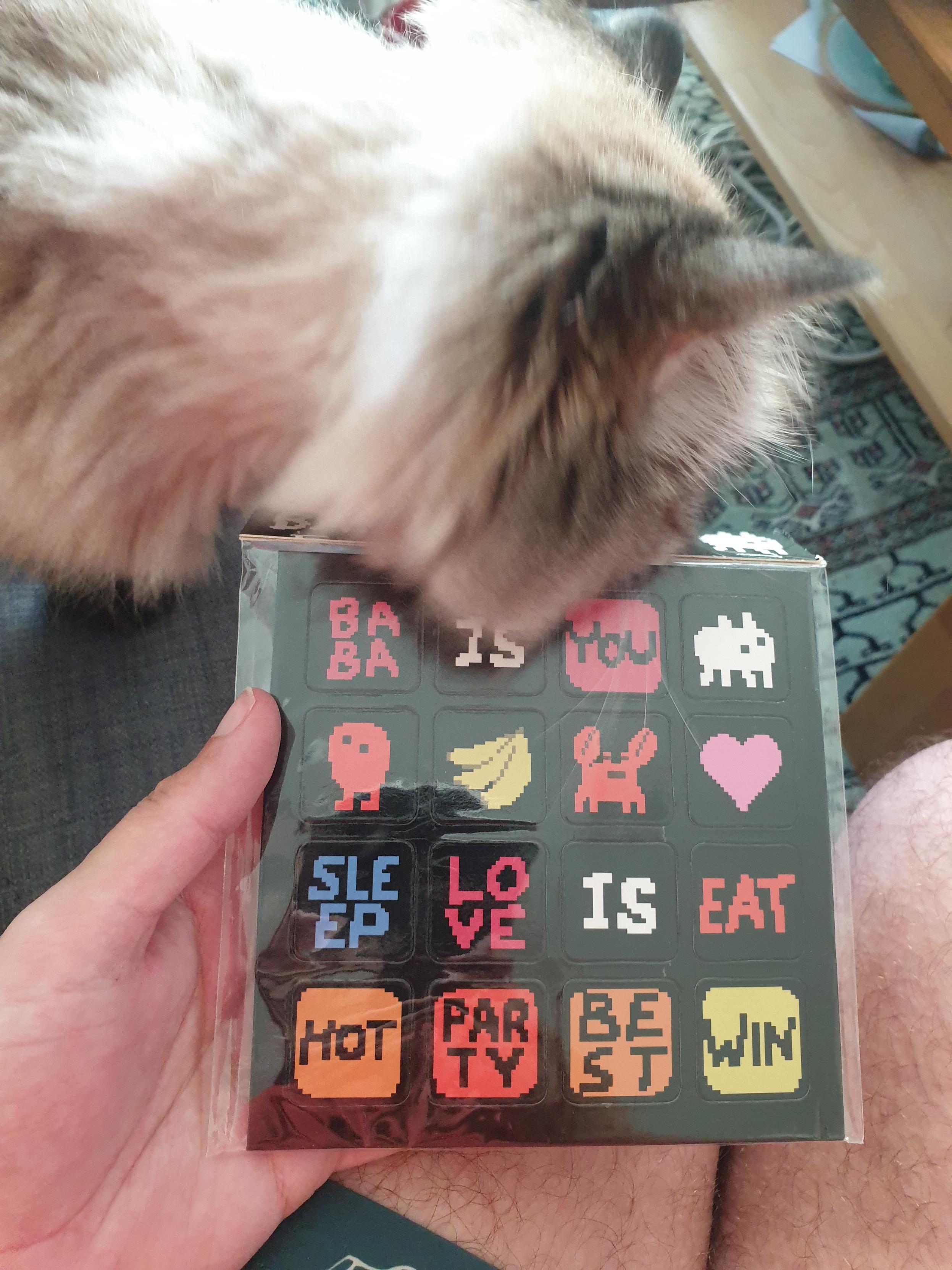 Photo of me holding a set of Baba Is You magnets while Larsa our cat rubs his tiny head on the packaging