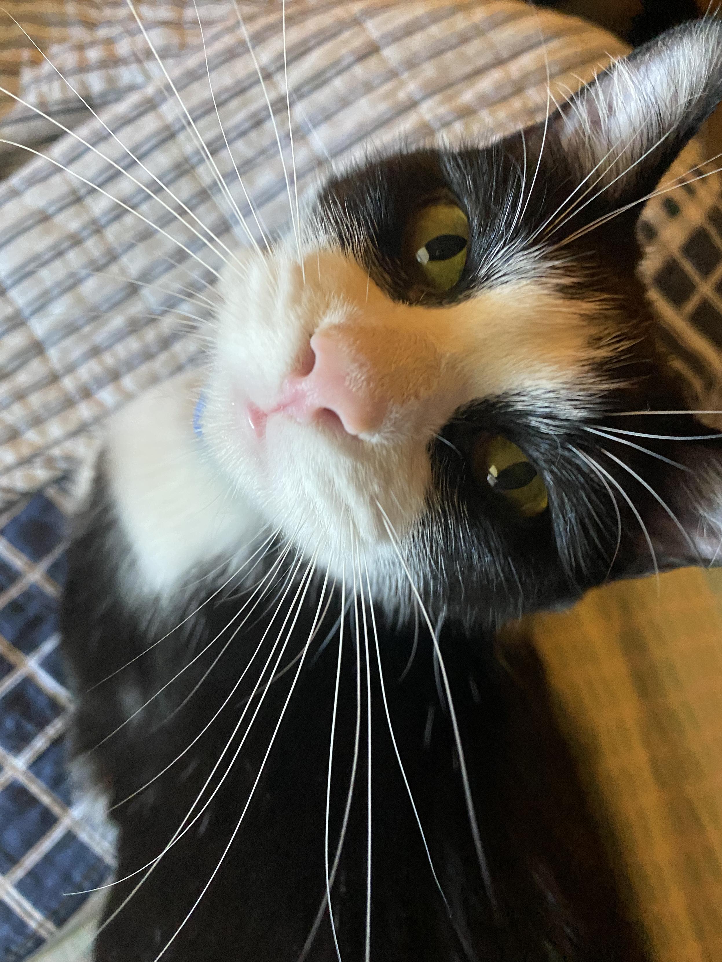Posted media